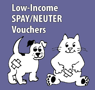 Low-Income Spay/Neuter Vouchers Available For A Limited Time • South ...