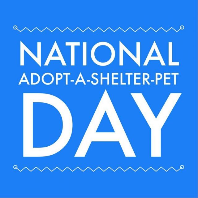 APR 30 ADOPT A SHELTER PET DAY • South Pacific County Humane Society