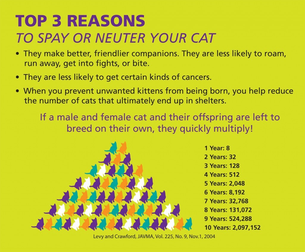 spay or neuter your pet