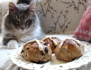 Hot Cross Buns