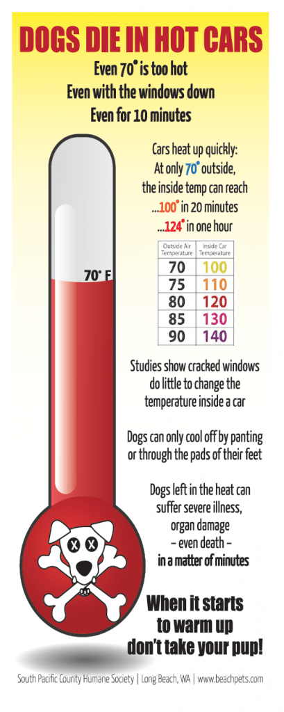 DogsDieHotCars