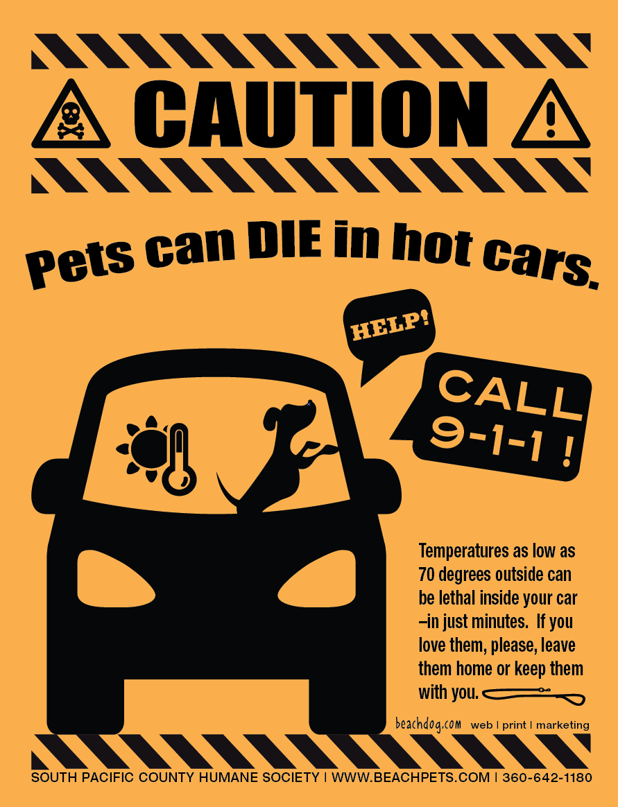 Pets Can Die in Hot Cars