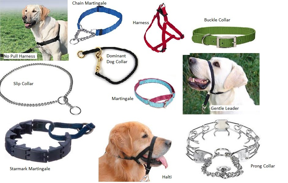 Dog collars & store harnesses