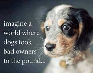 Imagine a world where dogs took bad owners to the pound.