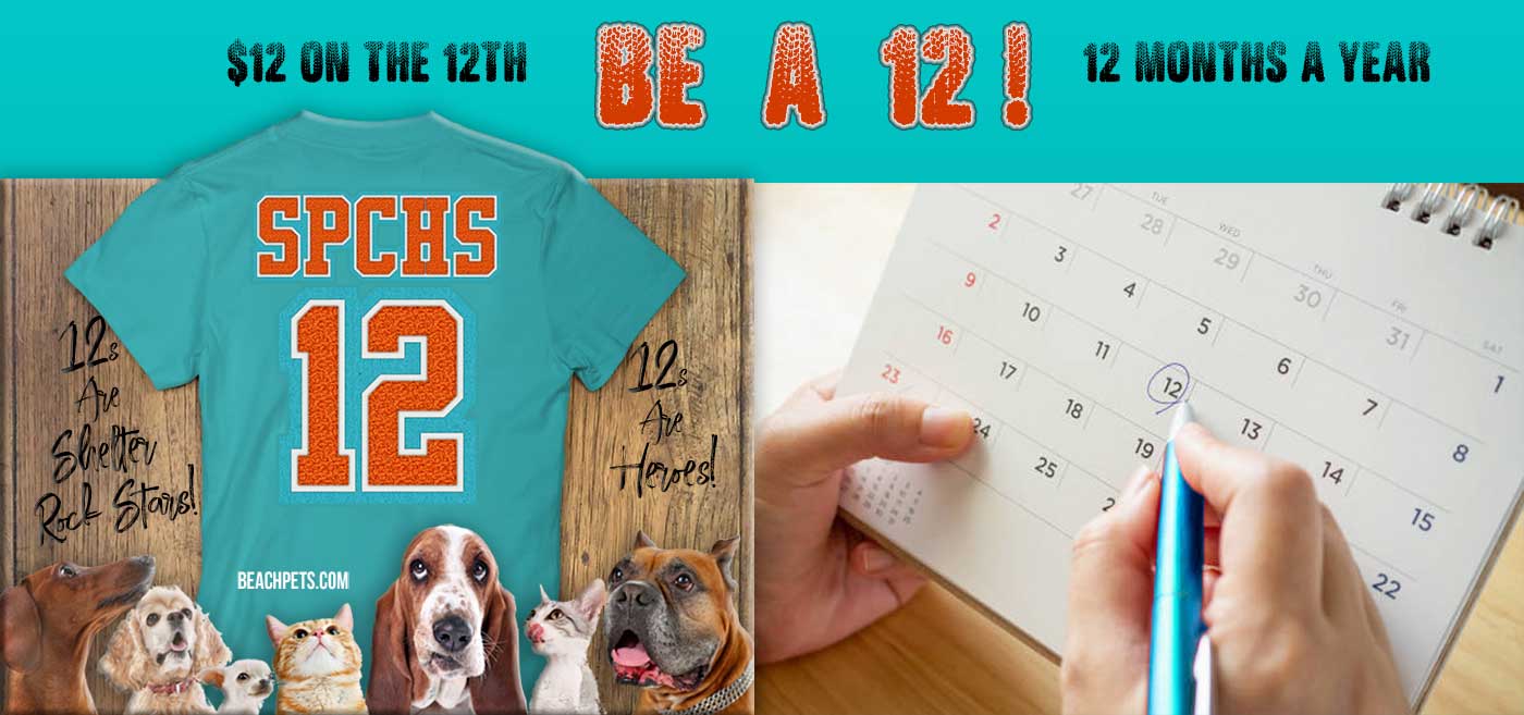 Be a 12
