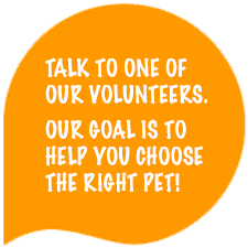 Talk to one of our volunteers.  Our goal is to help you choose the right pet!