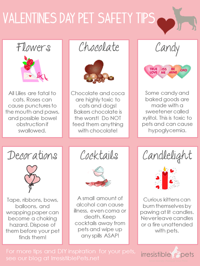 Valentines Day Dangers
