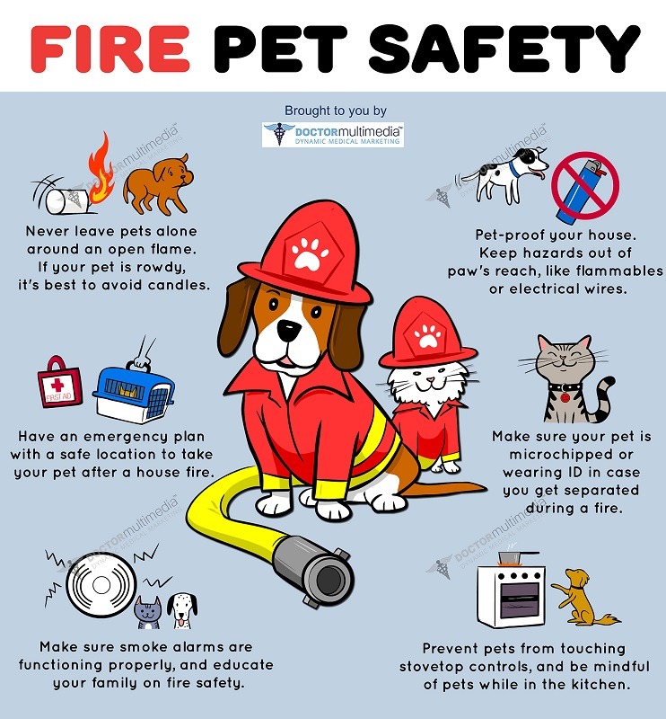 Fire-Safety-and-Your-Pets