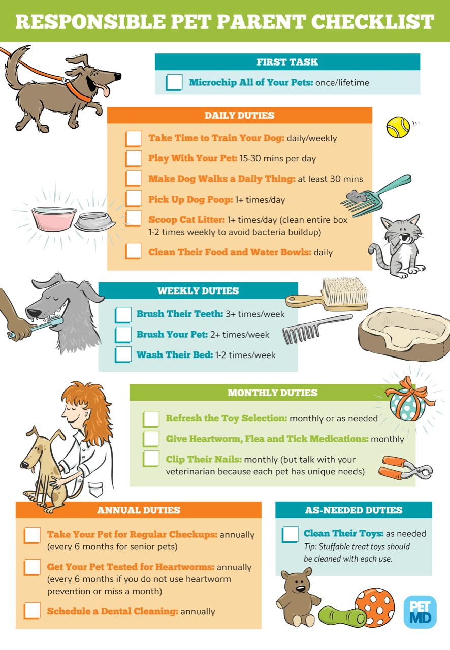 Responsible Pet Ownership Checklist