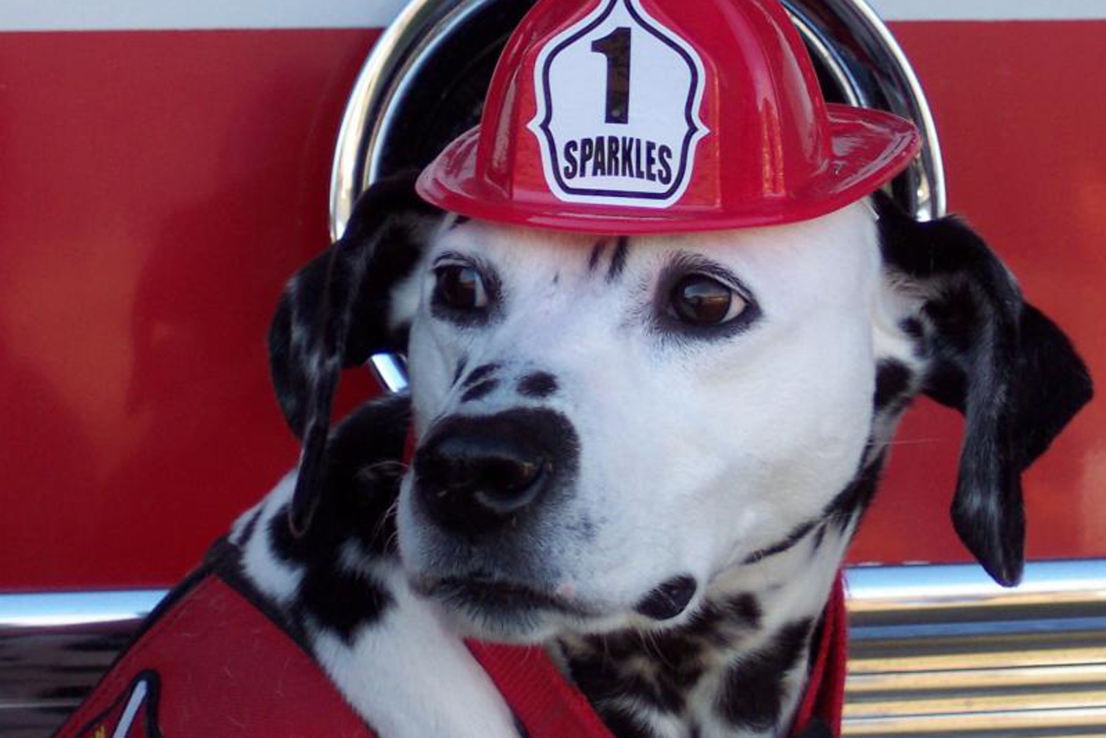 Sparkles_the_Fire_Safety_Dog