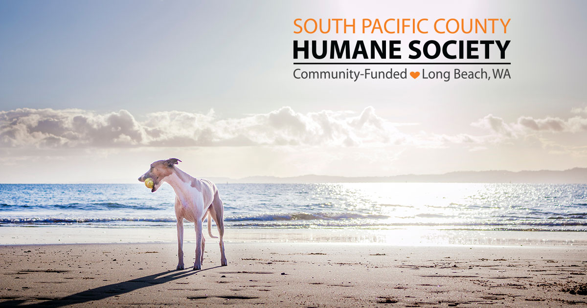 Long beach washington humane society nuance pdf advanced trial