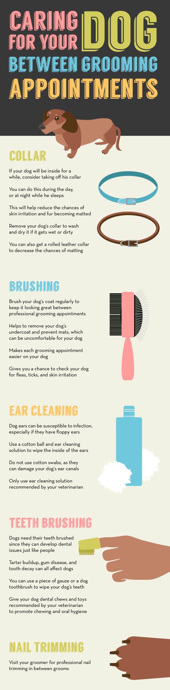 DOG grooming tips