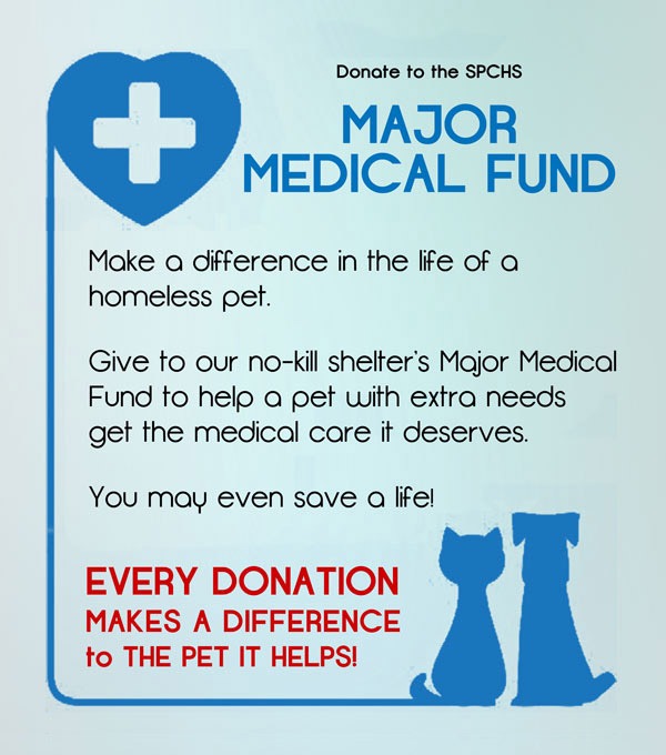 homeless pets med fund