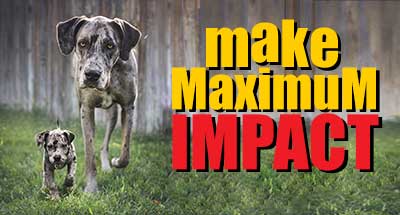 make maximum impact