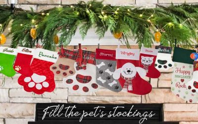 Dec: Fill the Pets’ Stockings!