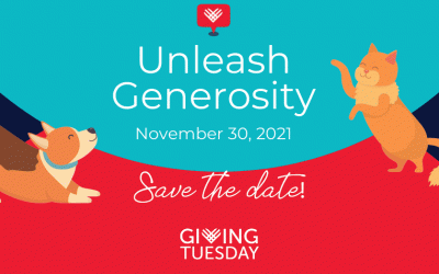 Nov: Giving Tuesday