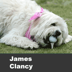 James Clancy