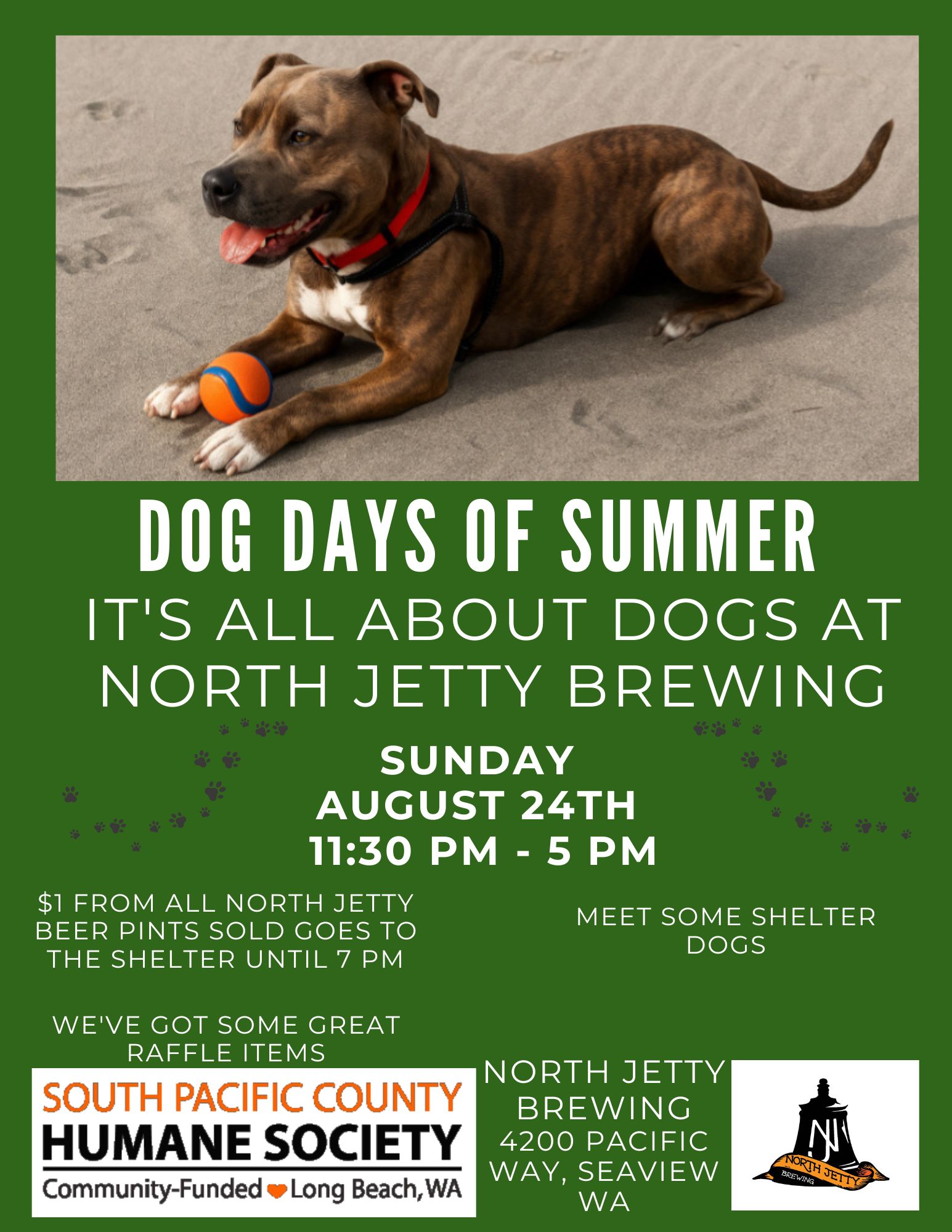 Dog Days of Summer 2025