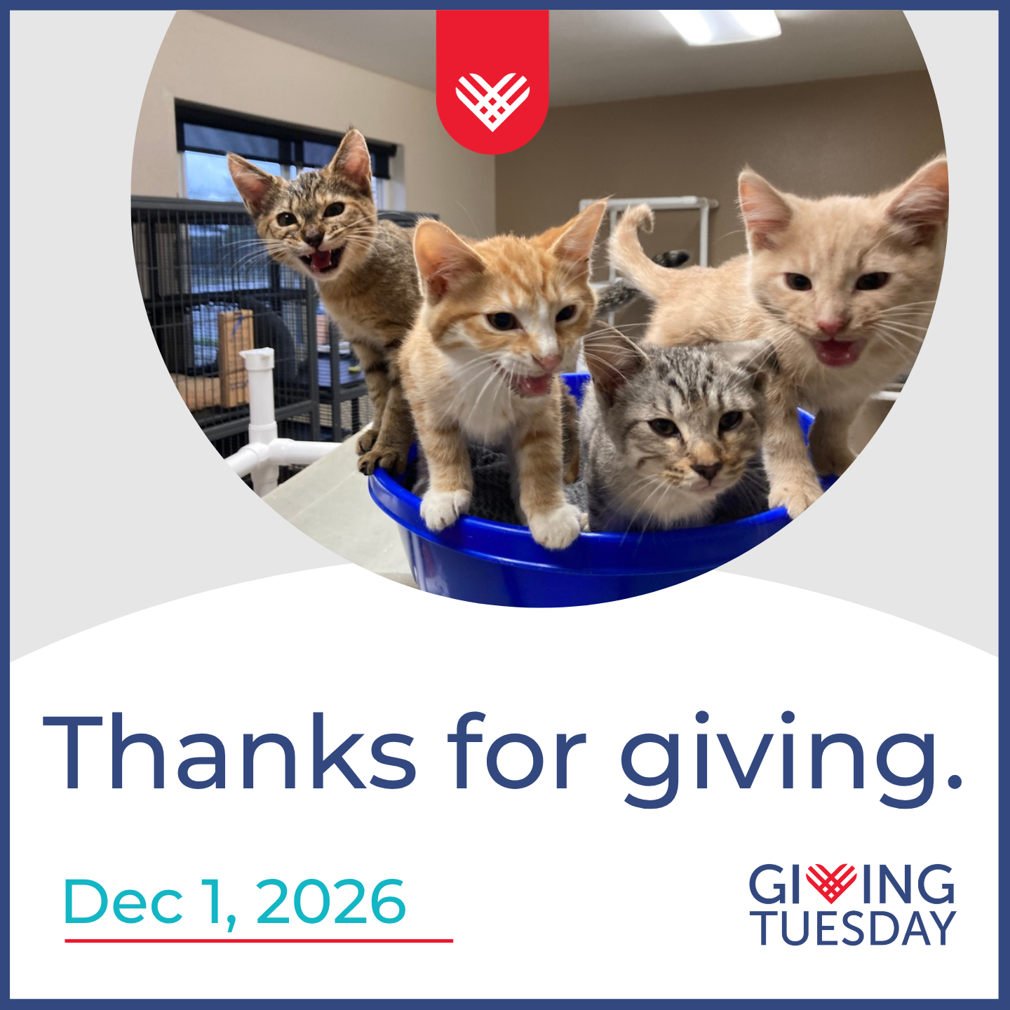 Giving Tuesday Thank You