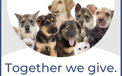 December 1st: Giving Tuesday