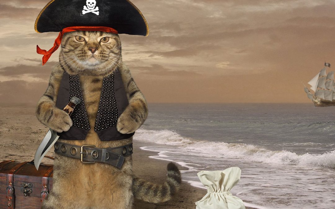 Fall: Beachpets Treasure Hunt