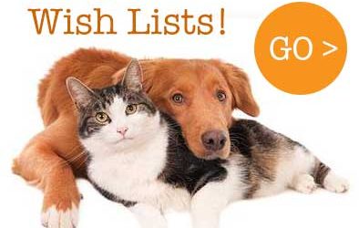 Our Supplies Wish Lists