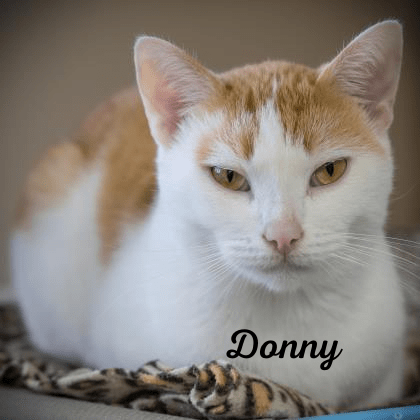 DonnywithName