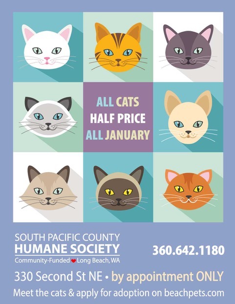 wholecat-halfprice-january (002)