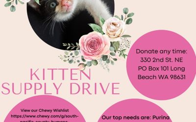 March: Kitten Supplies Drive
