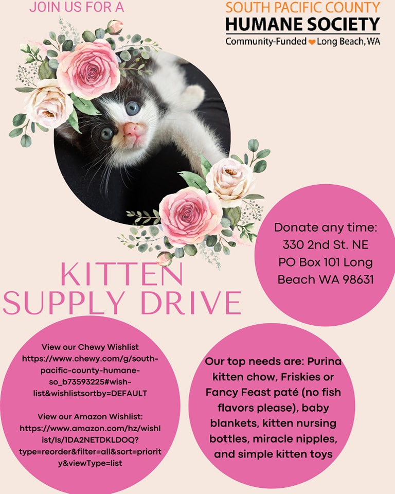 kitten supplies drive