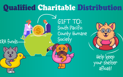 Qualified Charitable Distribution