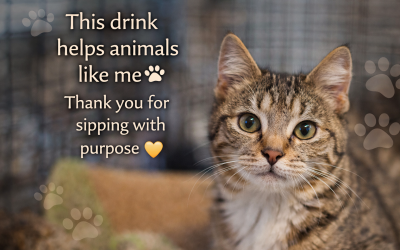 Jan: Cocktail For A Cause