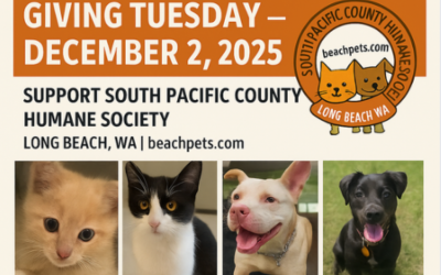 December 2nd: Giving Tuesday