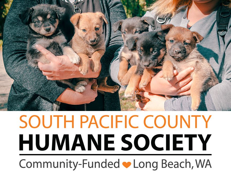 SPCHS – Primarily a Volunteer Driven Organization – Current Open Position – Animal Care Technician